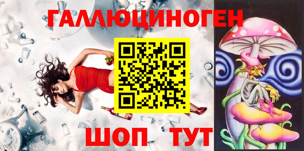 Галлюциногенные грибы Psilocybine cubensis Арсеньев